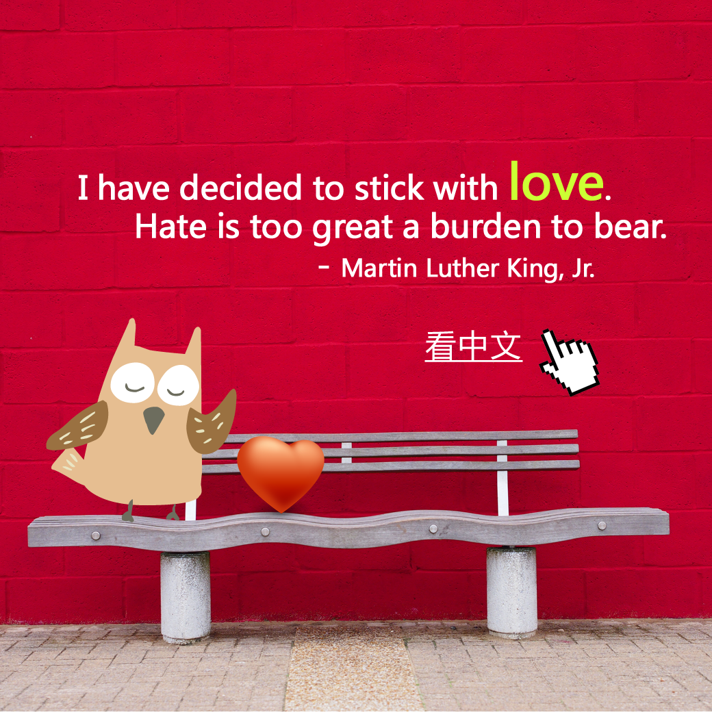 I have decided to stick with love. Hate is too great a burden to bear.
- Martin Luther King, Jr.   
