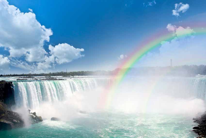 Survey: Rainbow - A. Irrigate it with clean water