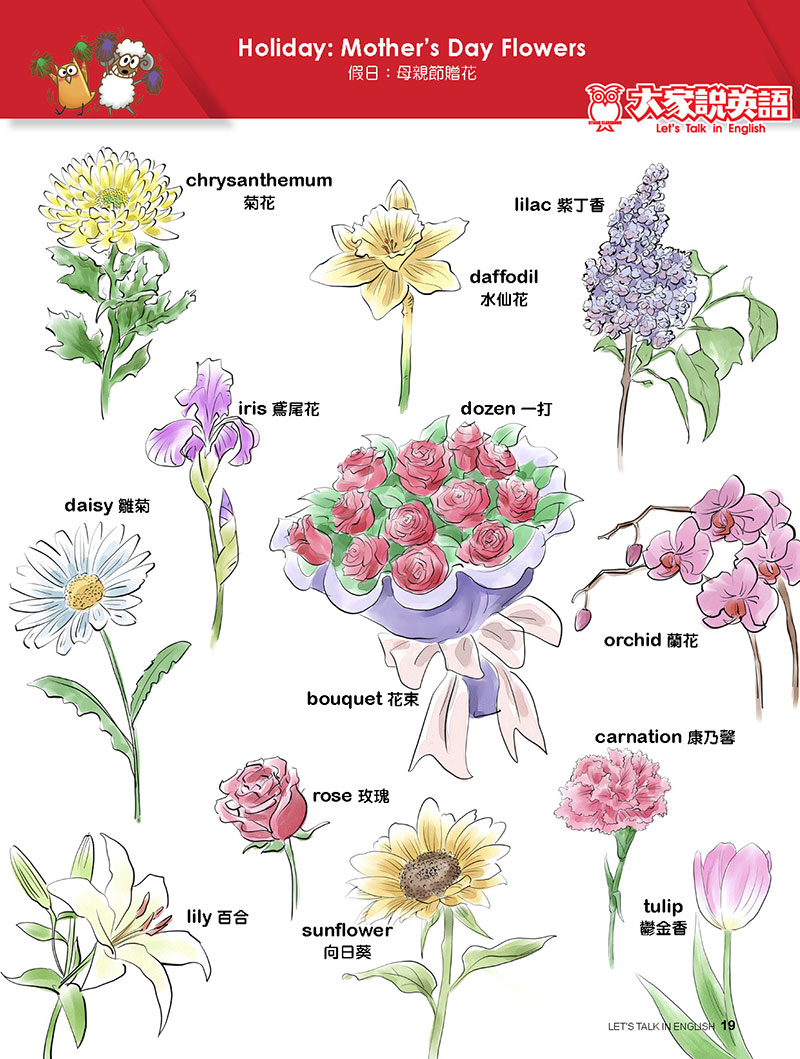 【Visual English】Holiday: Mother's Day Flowers