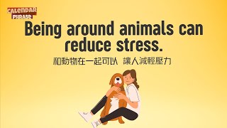 【Yo! 跟我唸】和動物在一起可以 讓人減輕壓力。Being around animals can reduce stress.  / 大家說英語