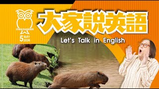 【大家說英語】可愛的水豚 Cute Capybaras  - 202605