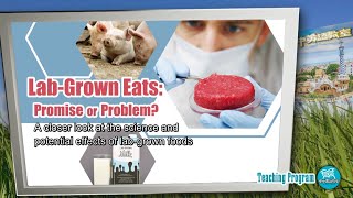 【空中英語教室】實驗室培育食品： 是福還是禍？Lab-Grown Eats: Promise or Problem? - 202606