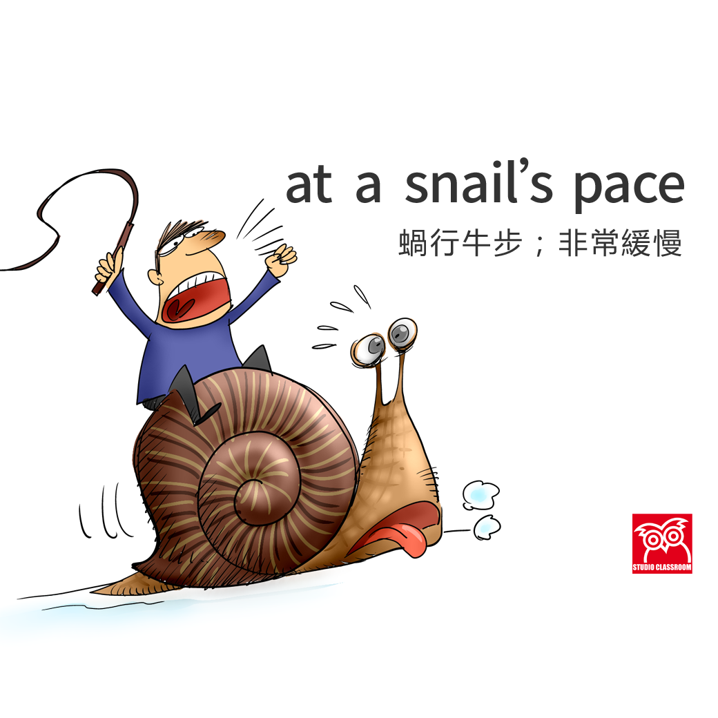 at a snail's pace