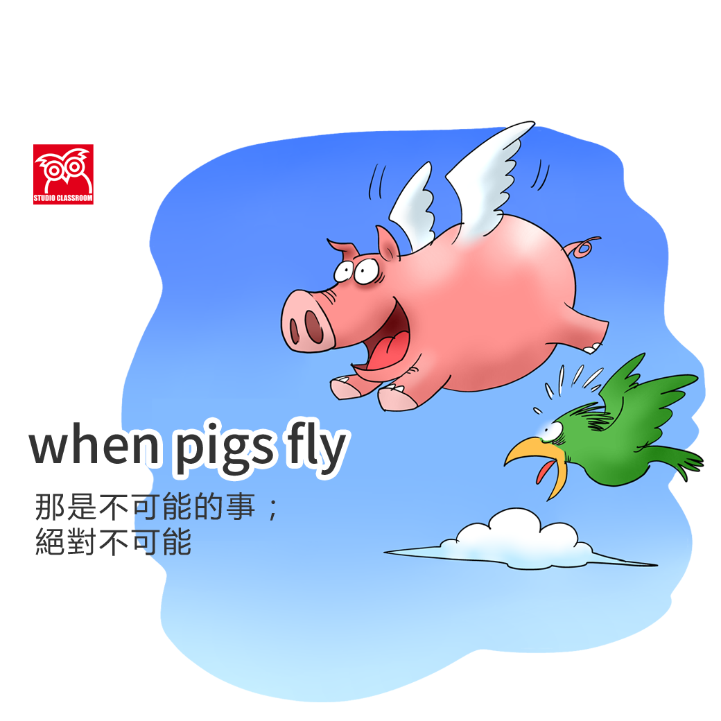 when pigs fly 