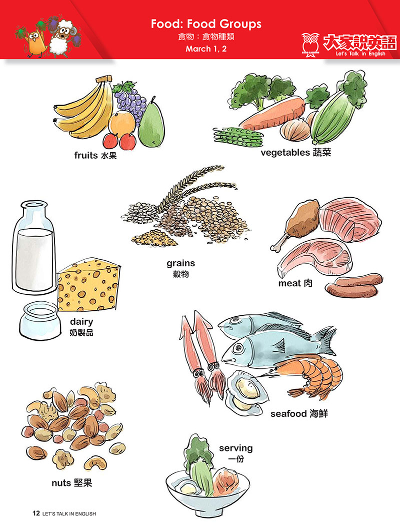 【Visual English】Food: Food Groups