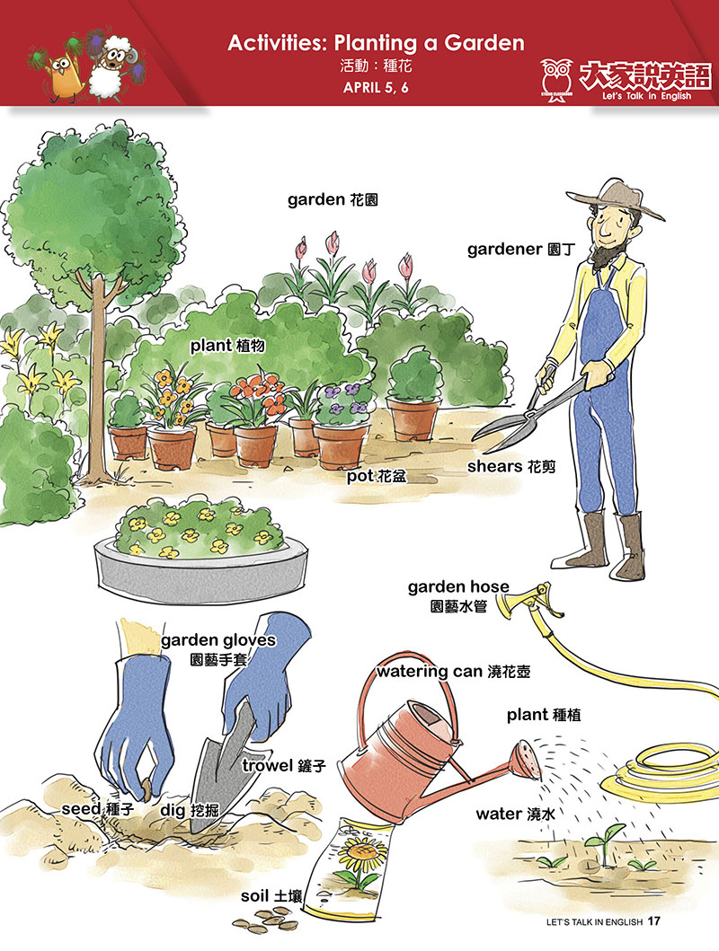 【Visual English】Activities: Planting a Garden