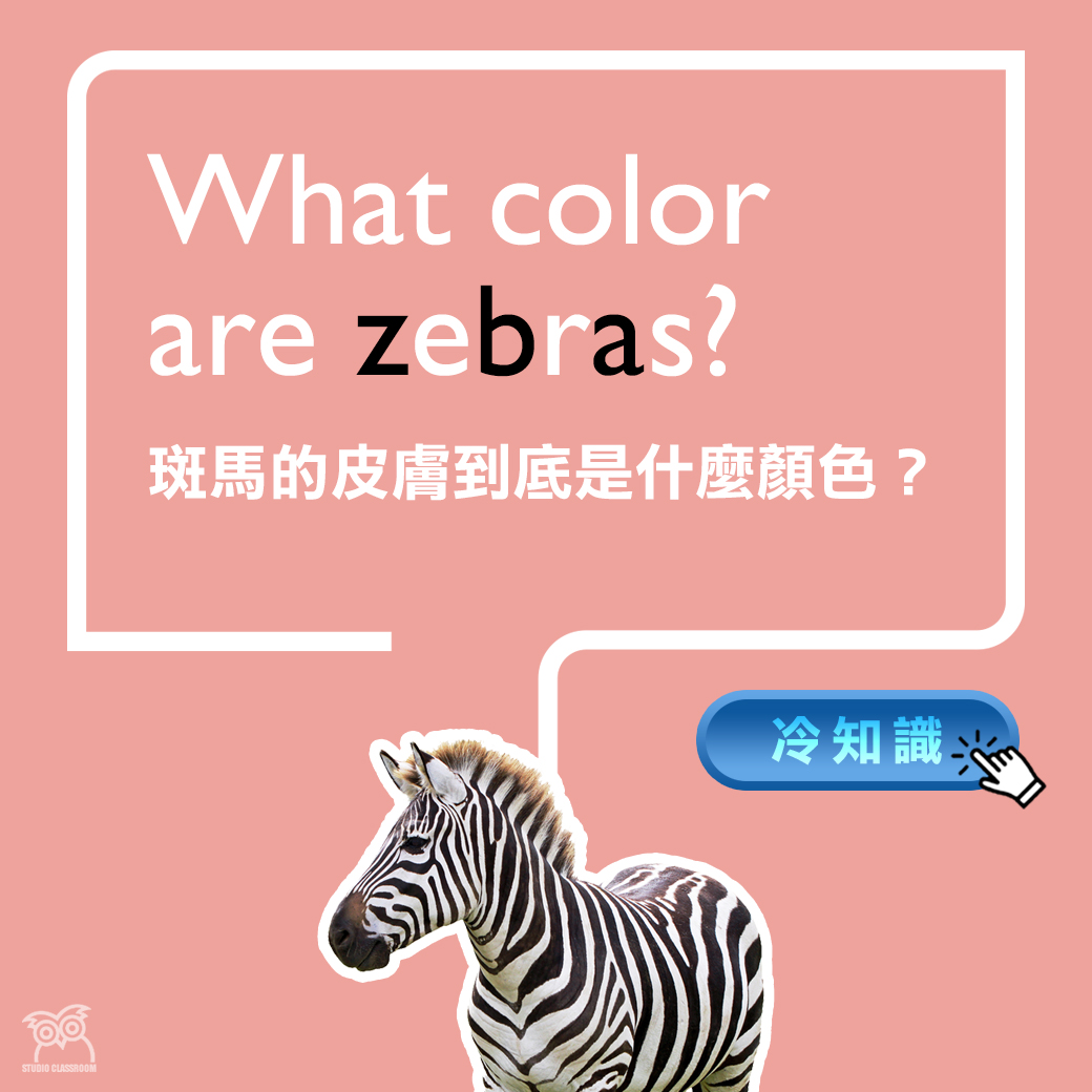 What color are zebras?