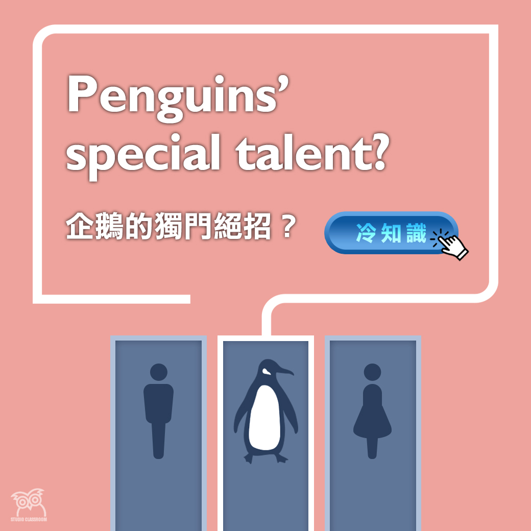 Penguins' special talent?