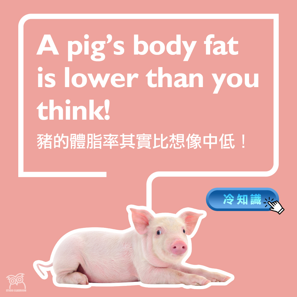 A pig's body fat is lower than you think!