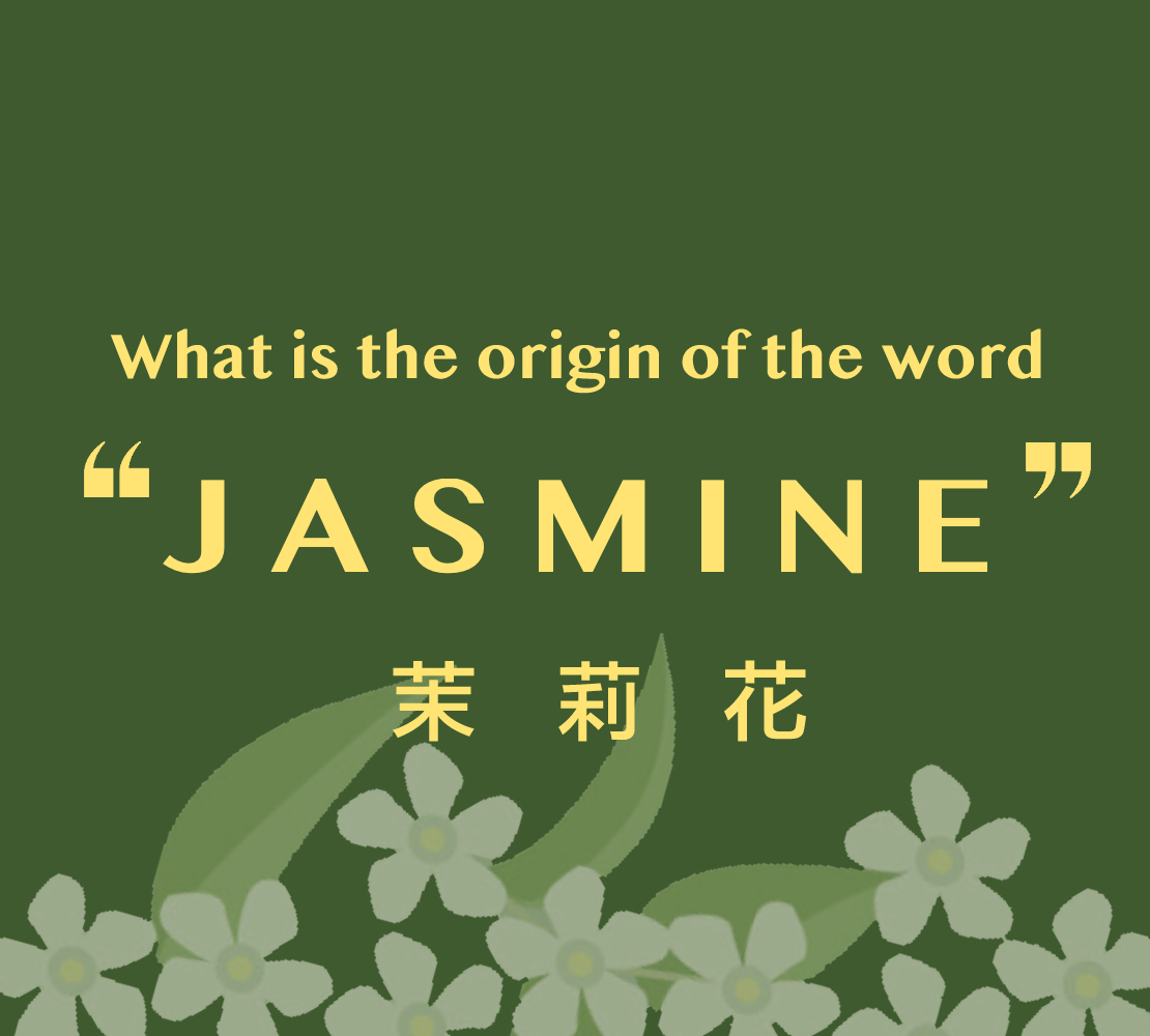 JASMINE