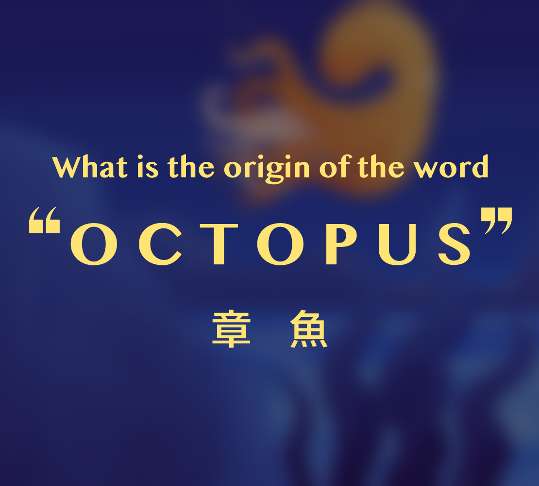 OCTOPUS