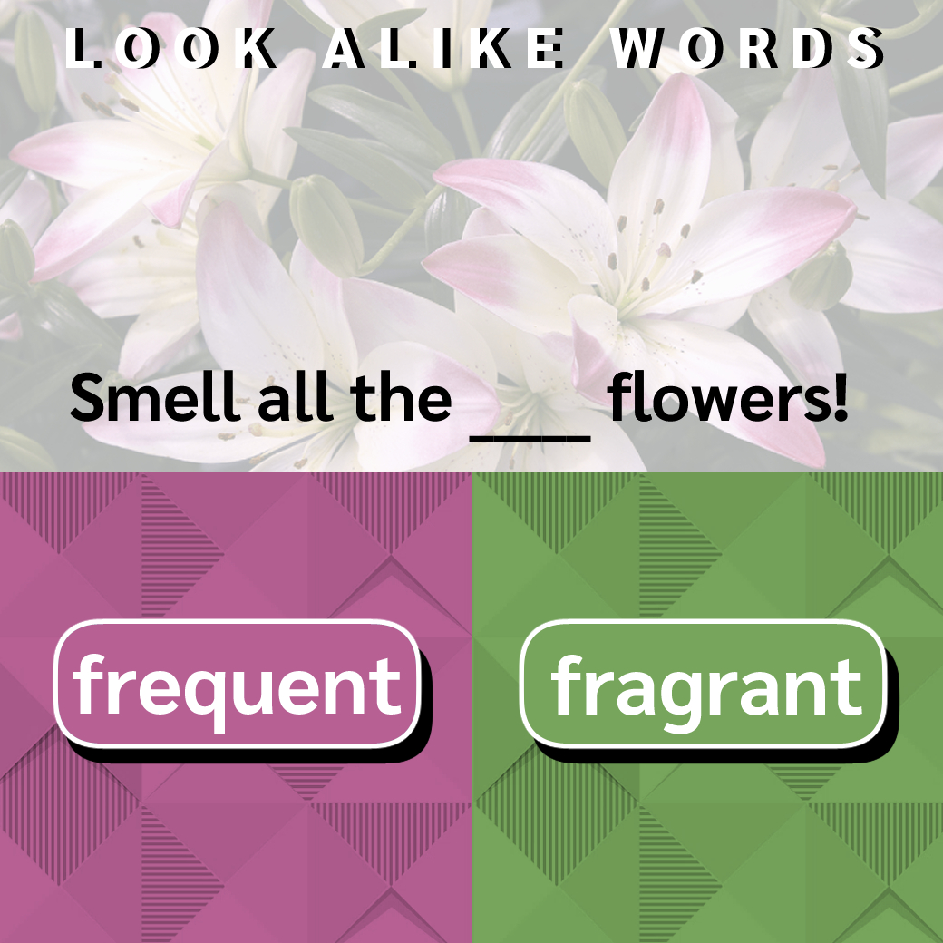 frequent / fragrant