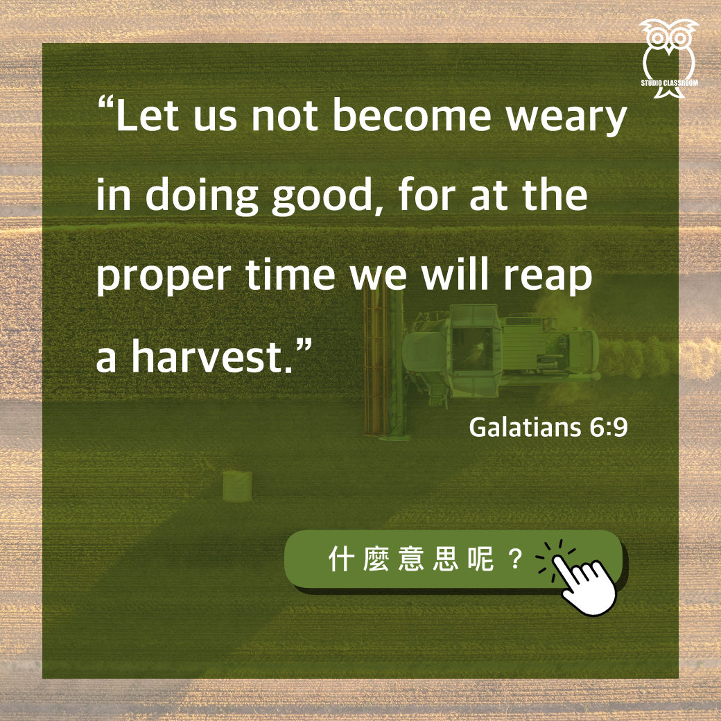 “Let us not become weary in doing good, for at the proper time we will reap a harvest.” Galatians 6:9