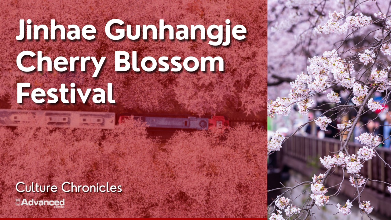 Jinhae Gunhangje Cherry Blossom Festival | 鎮海軍港節櫻花祭 (2026/03)