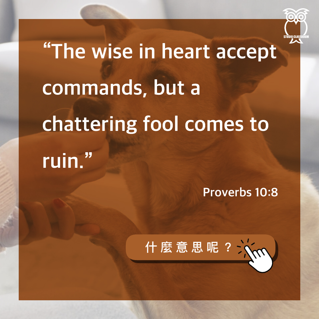 “The wise in heart accept commands, but a chattering fool comes to ruin.”-Proverbs 10:8