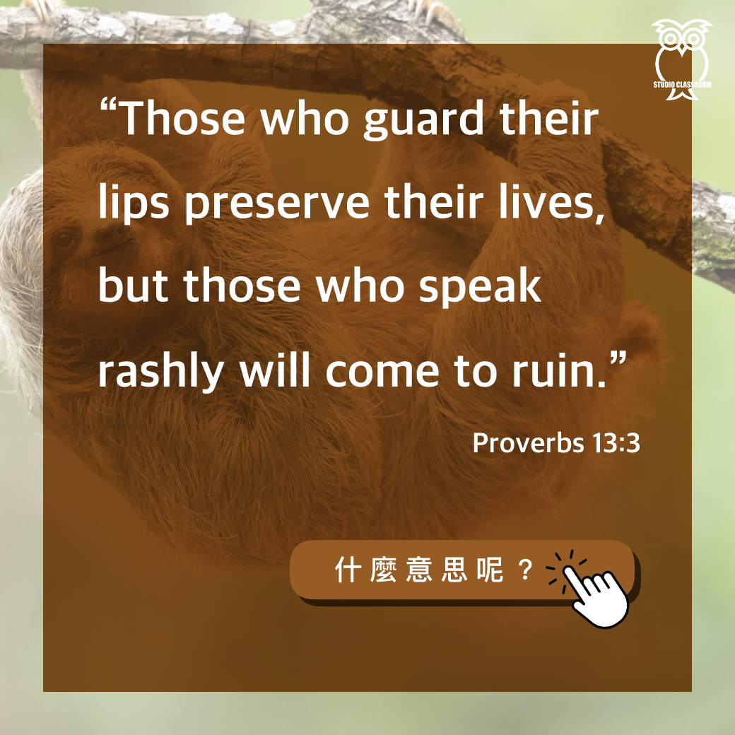 “Those who guard their lips preserve their lives, but those who speak rashly will come to ruin.” -Proverbs 13:3
