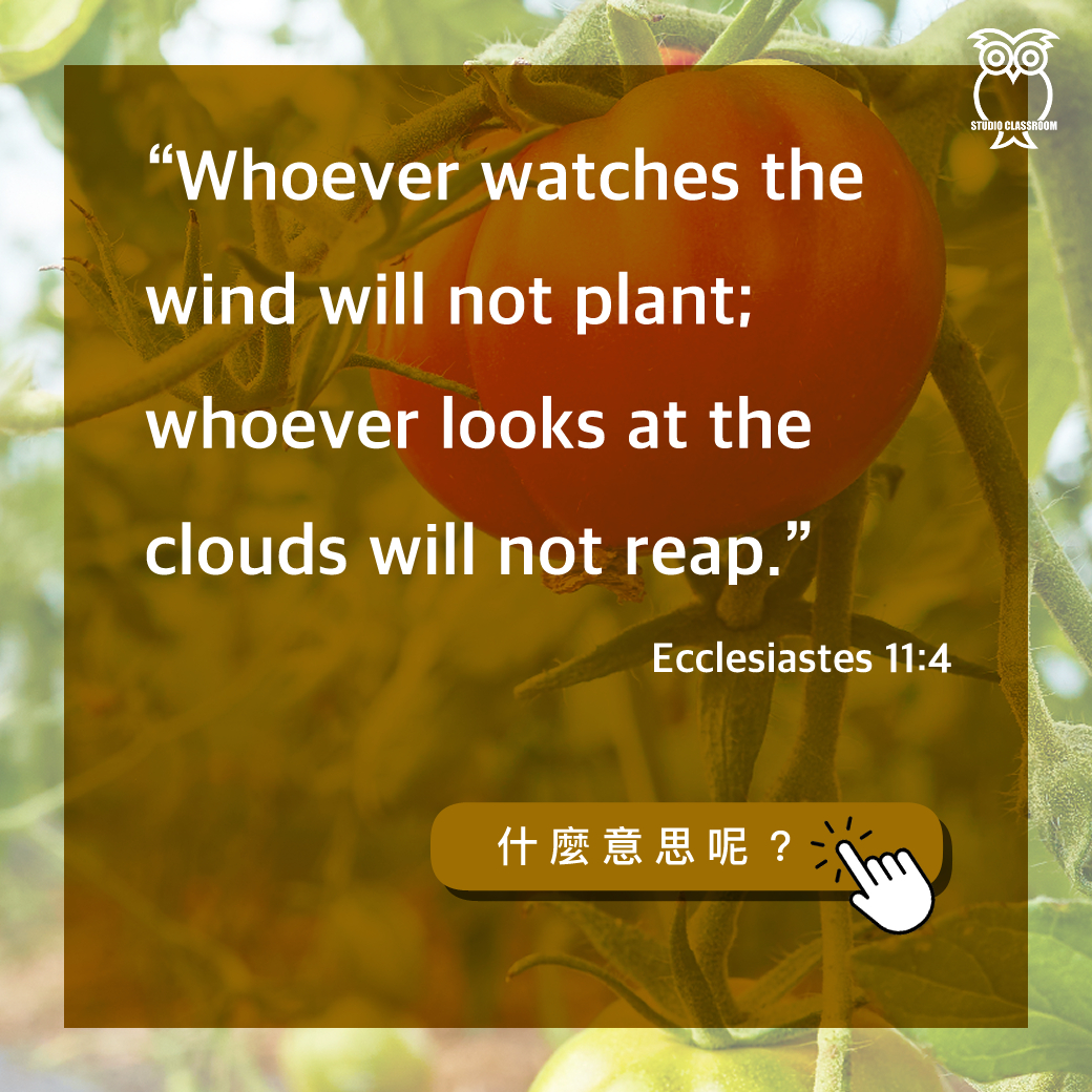 “Whoever watches the wind will not plant; whoever looks at the clouds will not reap.”-Ecclesiastes 11:4