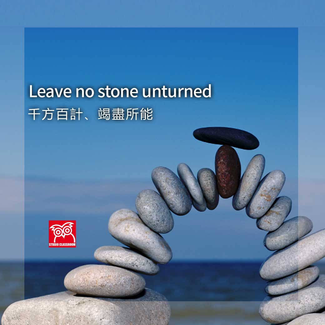 Leave no stone unturned 