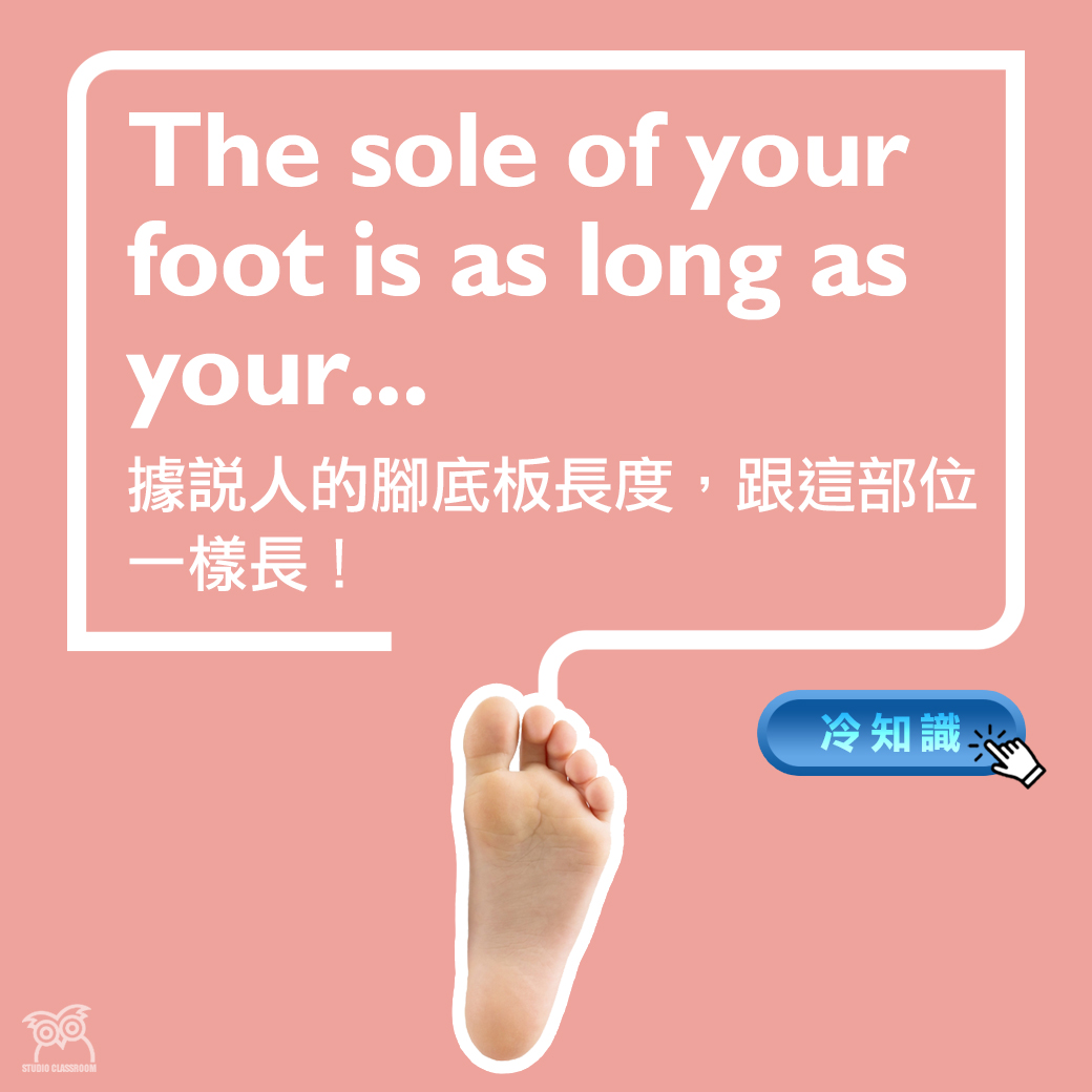 The sole of your foot is as long as your...